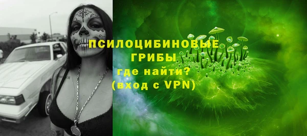 a pvp Аркадак