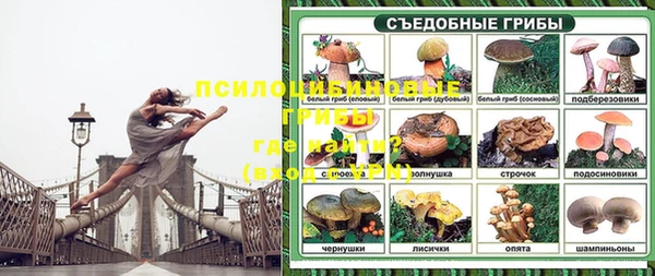 гидропоника Арсеньев
