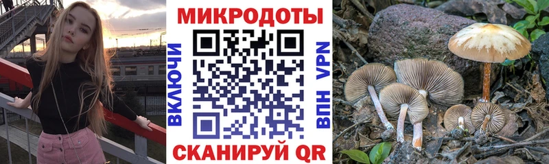 omg вход  Полысаево  Галлюциногенные грибы Cubensis 